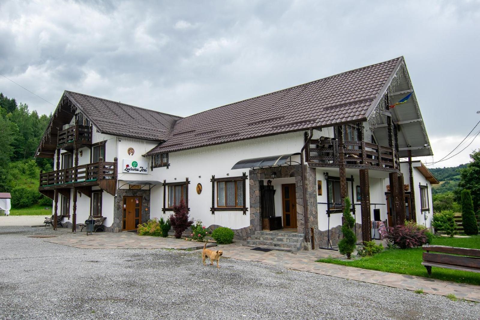 Lacrima Izei Săcel Exterior foto