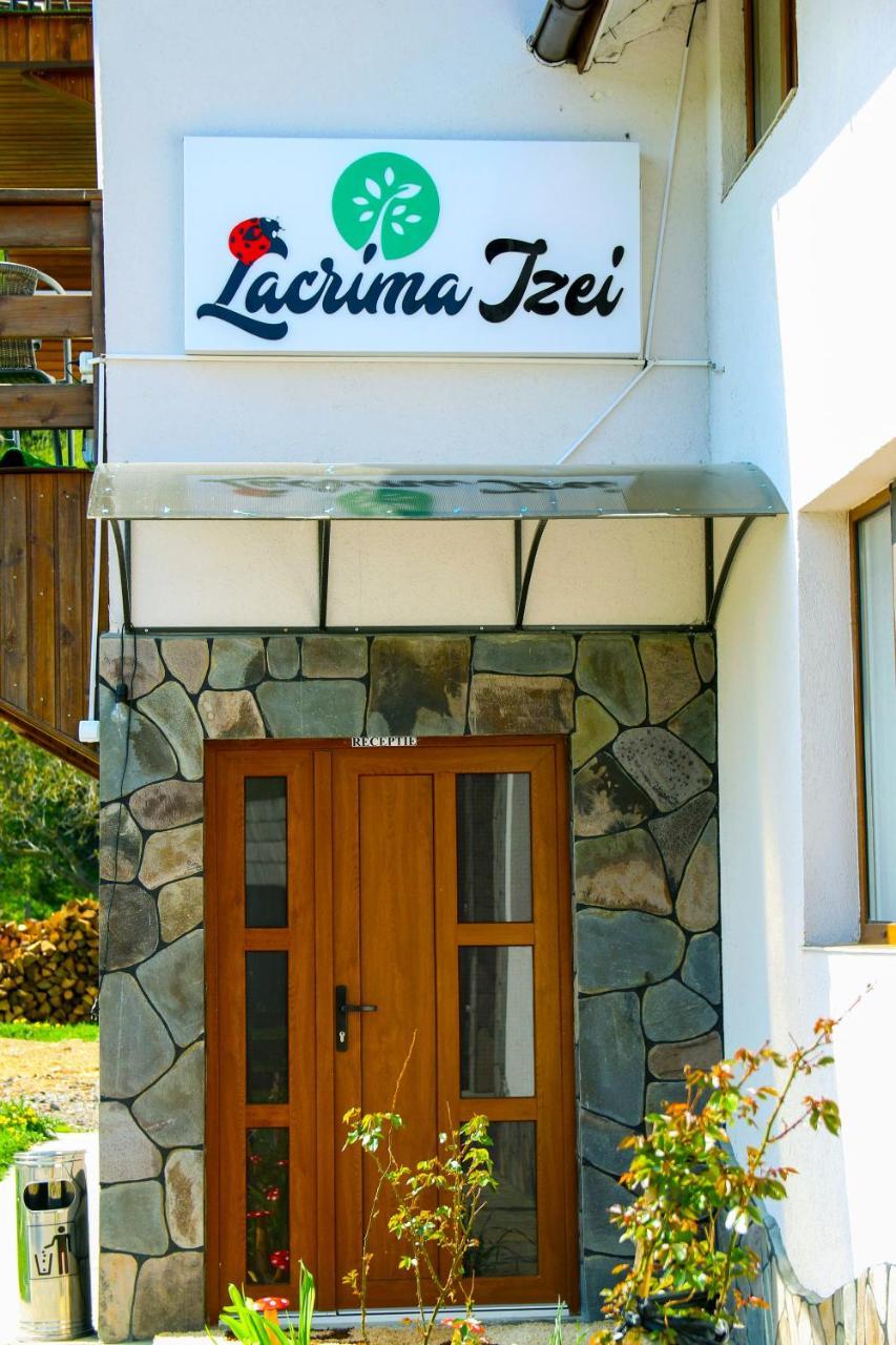 Lacrima Izei Săcel Exterior foto